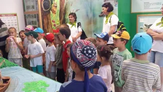 Erdei Óvoda program