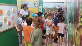 Erdei Óvoda program