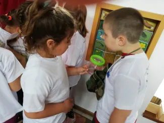 Erdei Óvoda program 2019.