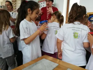 Erdei Óvoda program 2019.