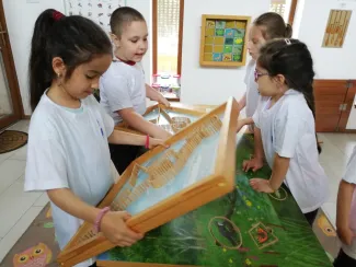 Erdei Óvoda program 2019.