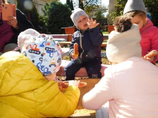 Hagyományőrzés-Kukoricamorzsolás a Százszorszép Óvodában 2019.