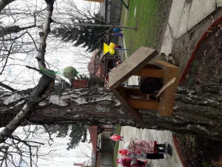 "Mi kell neked? Fatető, fatető, deszka madáretető!"
