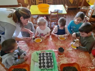 "Mi kell neked? Fatető, fatető, deszka madáretető!"