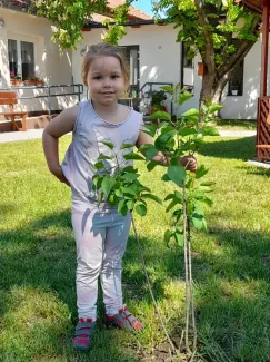 Madarak és Fák napja a Csemetekert Óvodában 2021.