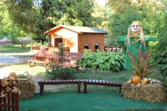 szüret