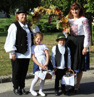 szüret