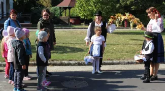 szüret